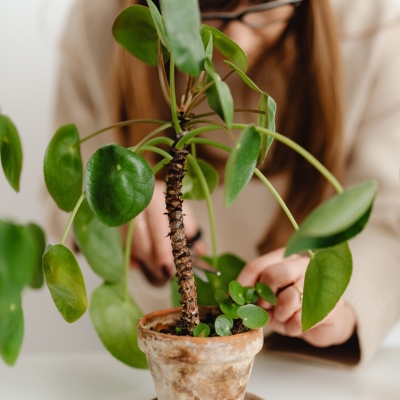 Woman tending to a houseplant