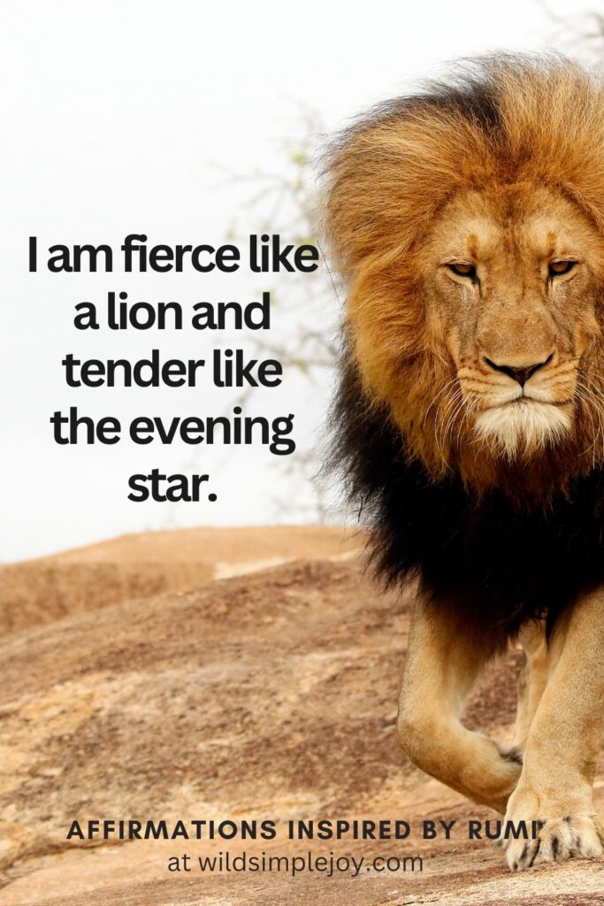Vertical Social Media image with a lion and text overlay I am fierce like a lion and tender like the evening star. Affirmations Inspired by Rumi at wildsimplejoy.com