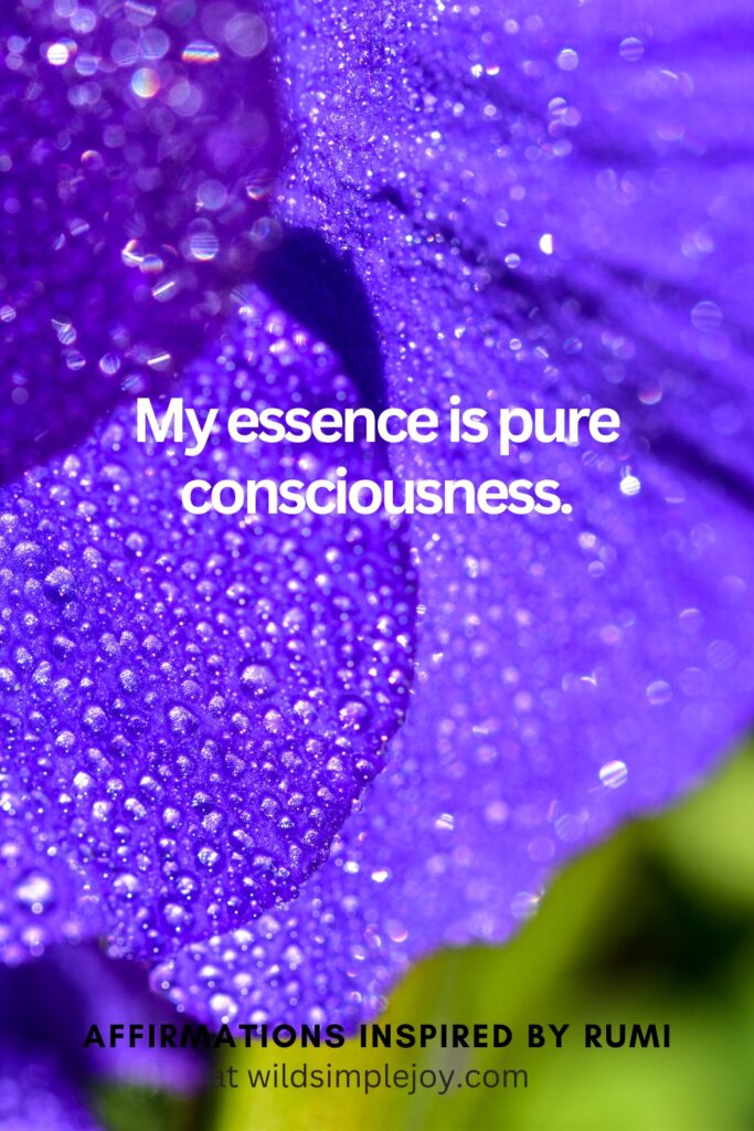 Vertical Social Media image with close up of flower petals and text overlay My essence is pure consciousness. Affirmations Inspired by Rumi at wildsimplejoy.com