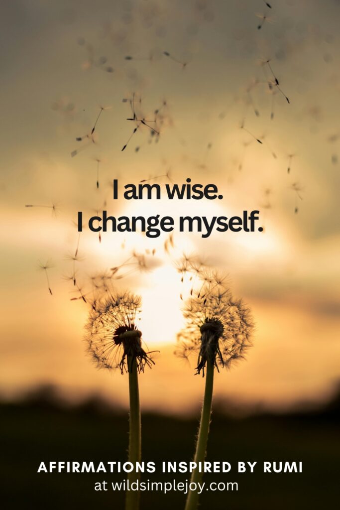 Vertical Social Media image with dandelions and text overlay I am wise. I change myself. Affirmations Inspired by Rumi at wildsimplejoy.com
