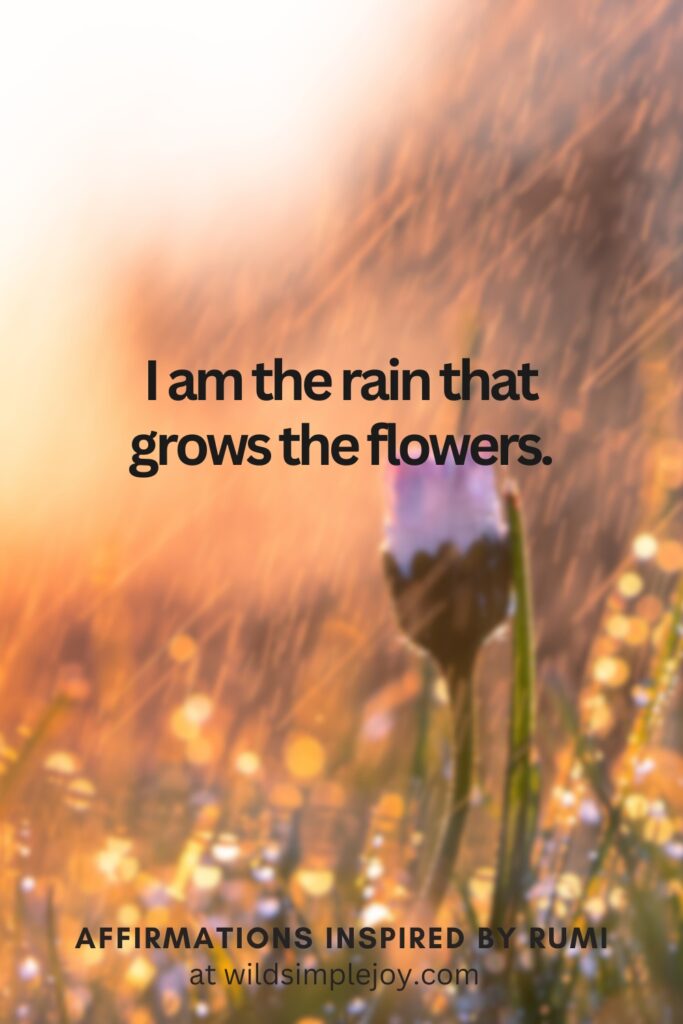 Vertical Social Media image with flowers and and text overlay I am the rain that grows the flowers. Affirmations Inspired by Rumi at wildsimplejoy.com