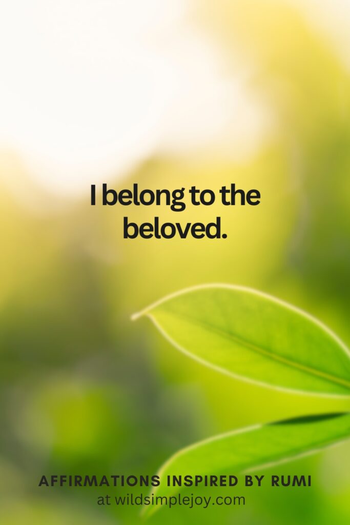 Vertical Social Media image with leaves and text overlay I belong to the beloved Affirmations Inspired by Rumi at wildsimplejoy.com