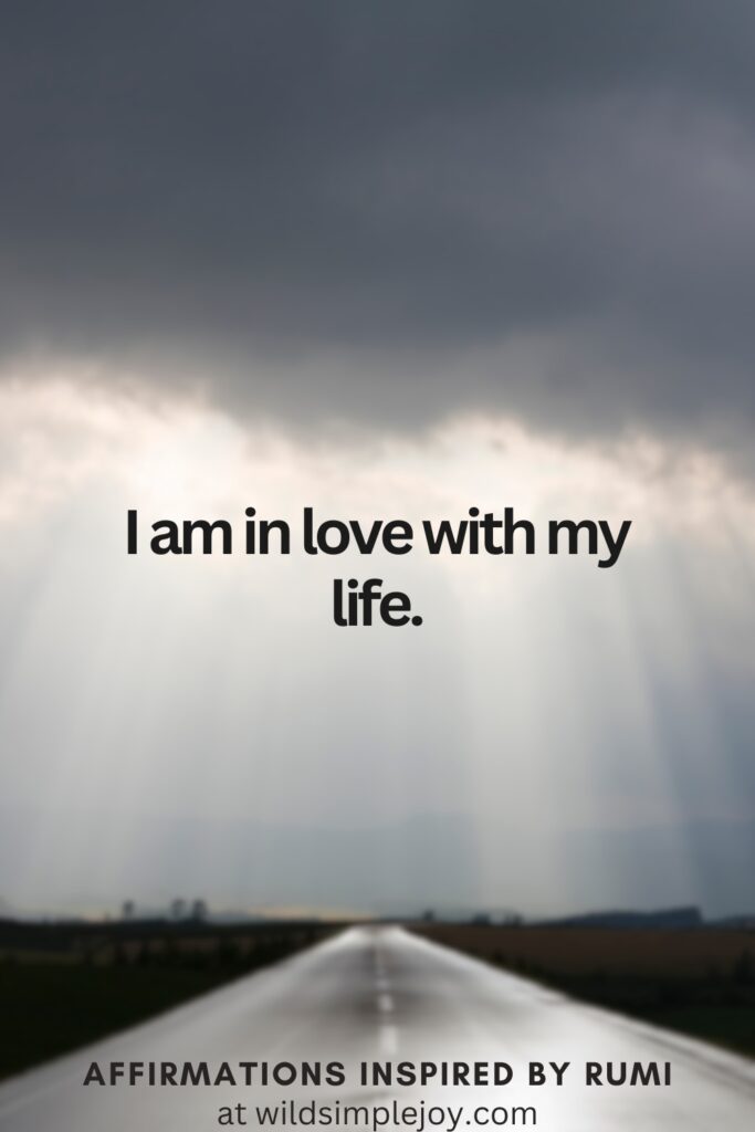Vertical Social Media image with rainy skies and text overlay I am in love with my life. Affirmations Inspired by Rumi at wildsimplejoy.com