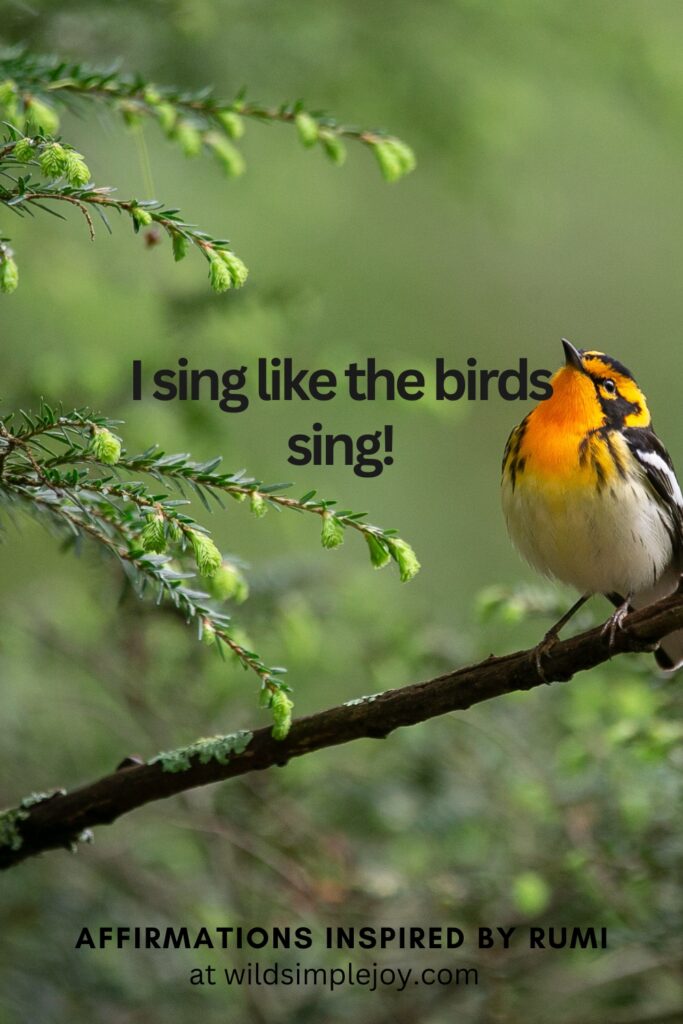 Vertical Social Media image with songbird and text overlay I sing like the birds sing! Affirmations Inspired by Rumi at wildsimplejoy.com