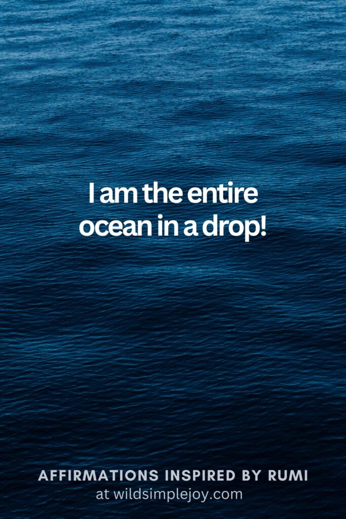 Vertical Social Media image with the ocean and text overlay I am the entire ocean in a drop Affirmations Inspired by Rumi at wildsimplejoy.com